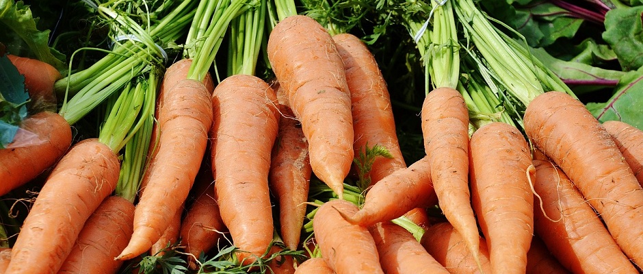 Karottensaftpulver
