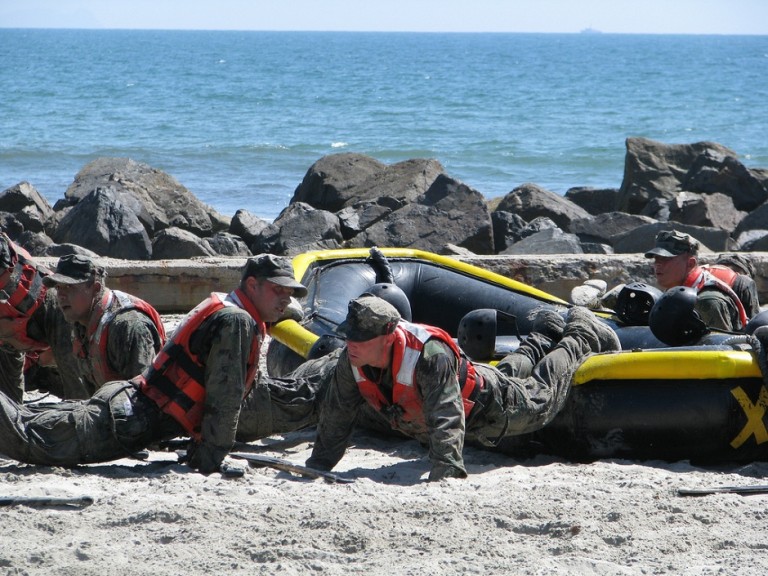 Push Ups Navy Seals