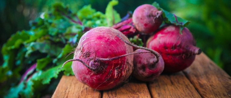 Rote Beete Salat gekocht