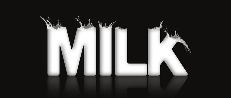 world milk day