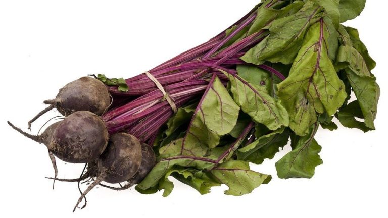 beetroot
