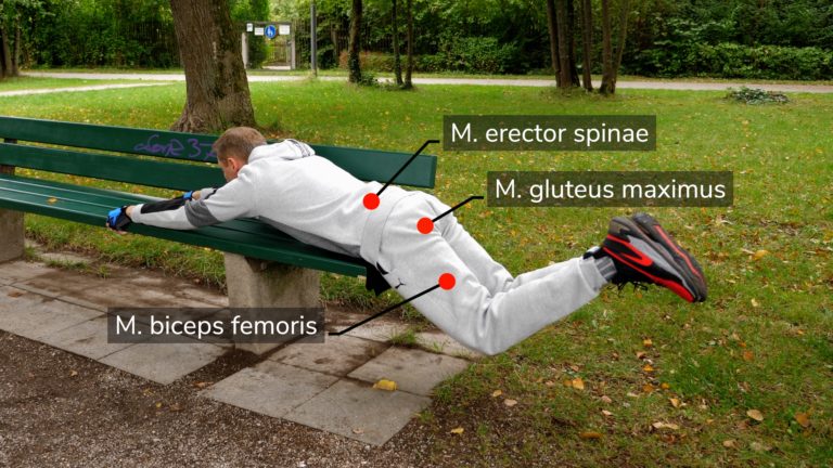 Reverse Hyperextension on Park Bench