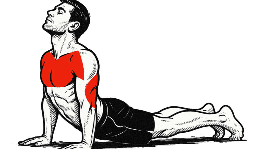 Comic-Zeichnung eines Sportlers in der Endposition einer indischen Liegestütze (Dands) mit gestrecktem Oberkörper und gesenkter Hüfte